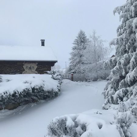 Вилла Lyshytta Сен-Пьер-Дель-Форса Экстерьер фото